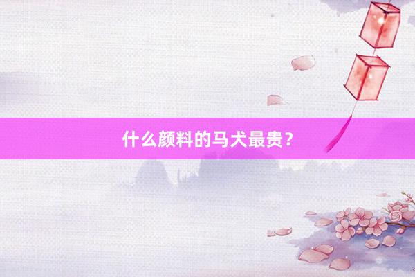什么颜料的马犬最贵？